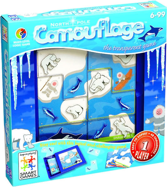 Camouflage North Pole One Player Logic Game