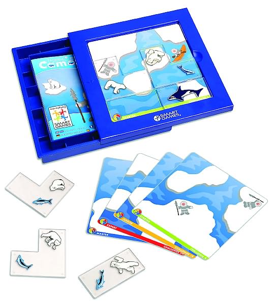 Camouflage North Pole One Player Logic Game