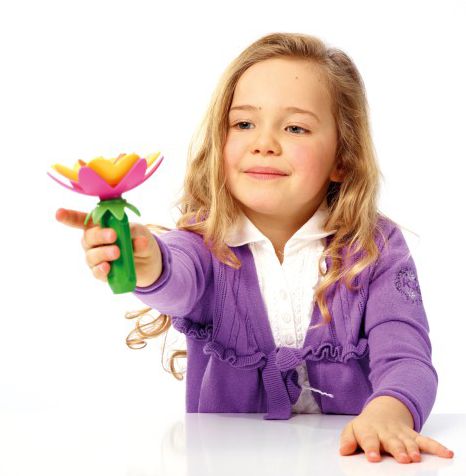 Smart Max Flower Power