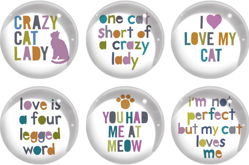 Cat Quotes Magnet Set