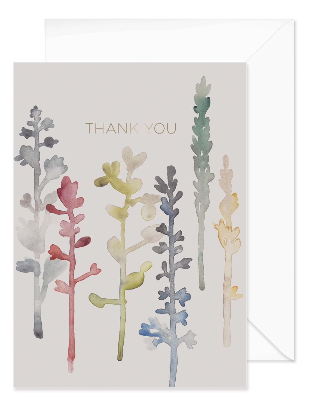 Watercolor Stems Boxed Thank You Notecards Set of 10