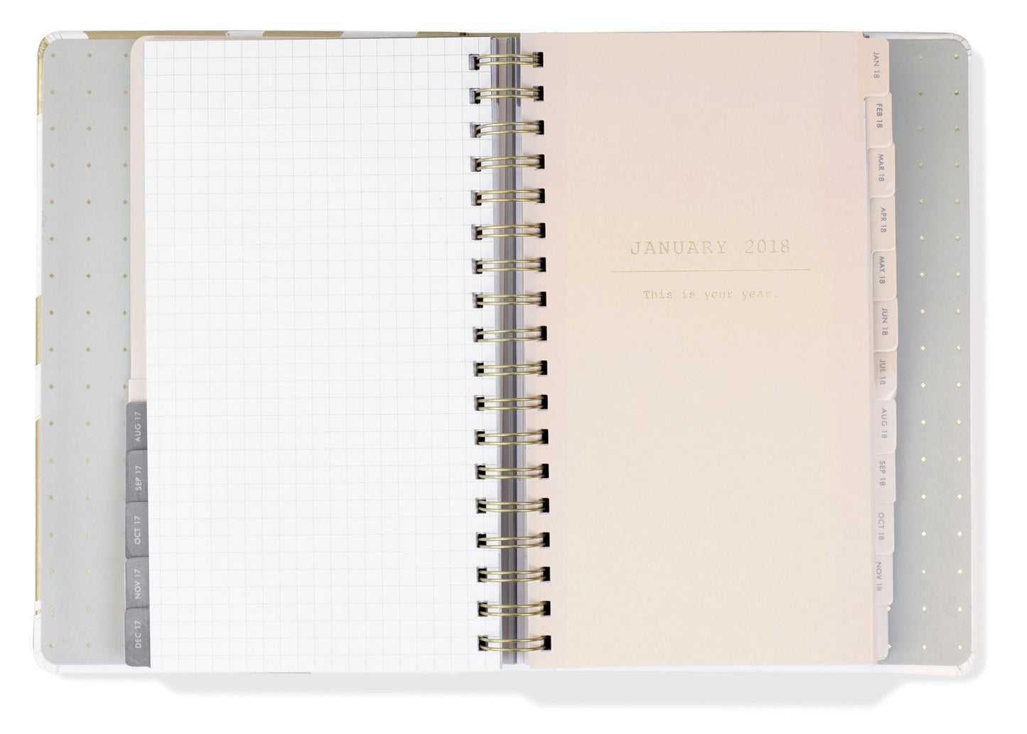 2018 Gold Brush 17-month Planner
