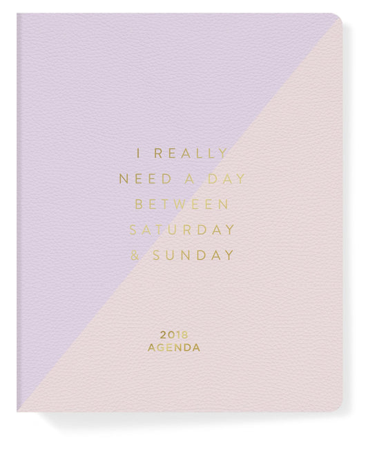 2018 Pastel Saturday Sunday 17-month Jumbo Planner