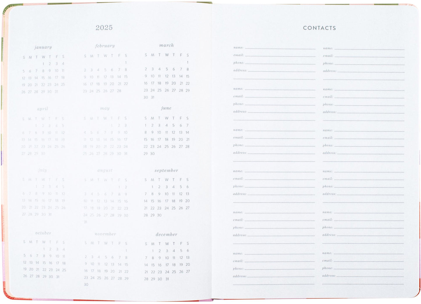 2024 Trendy Check Planner