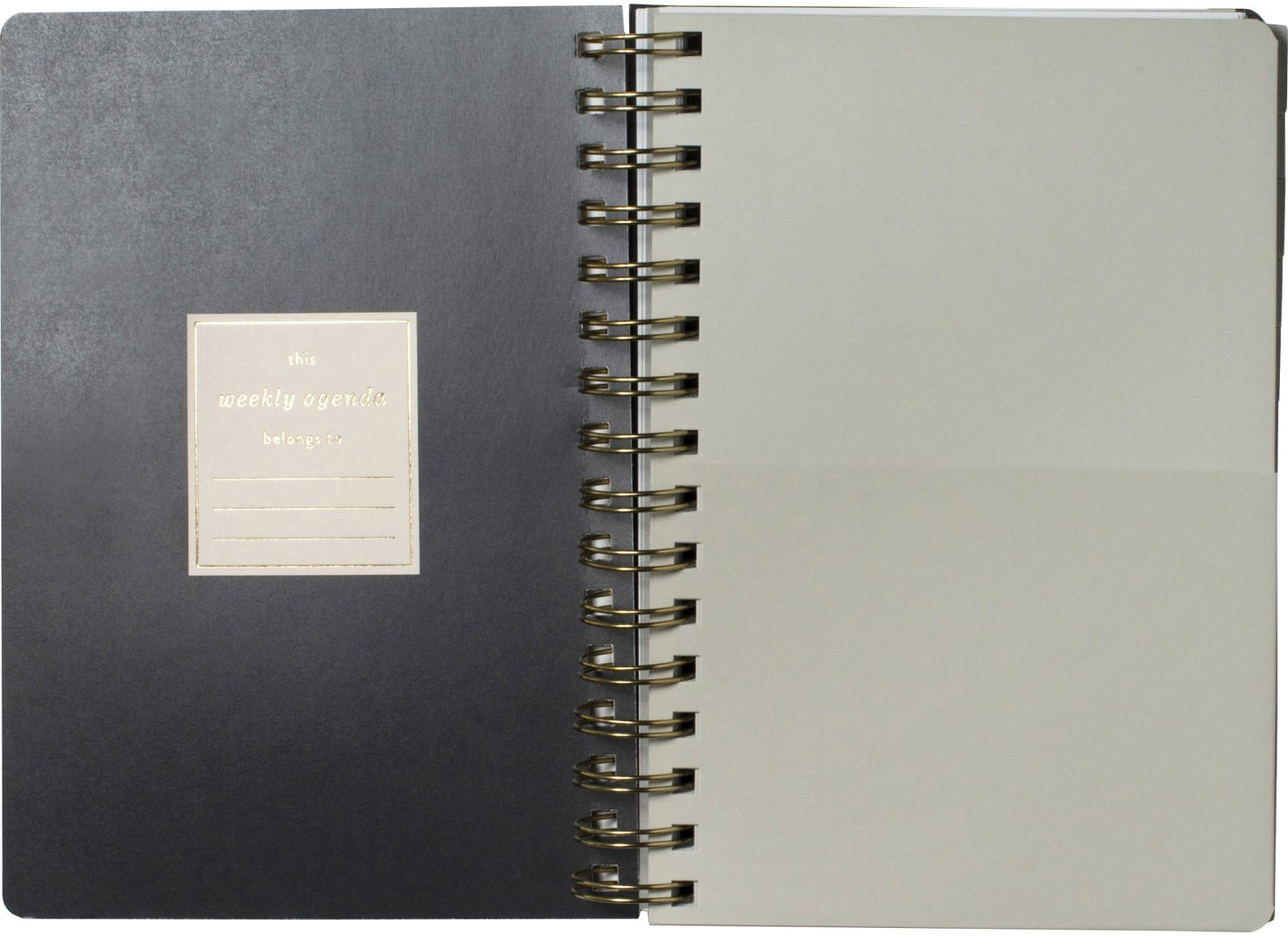 2024-2025 Fringe Vintage Skies 17-Month Faux Leather Spiral Weekly Planner