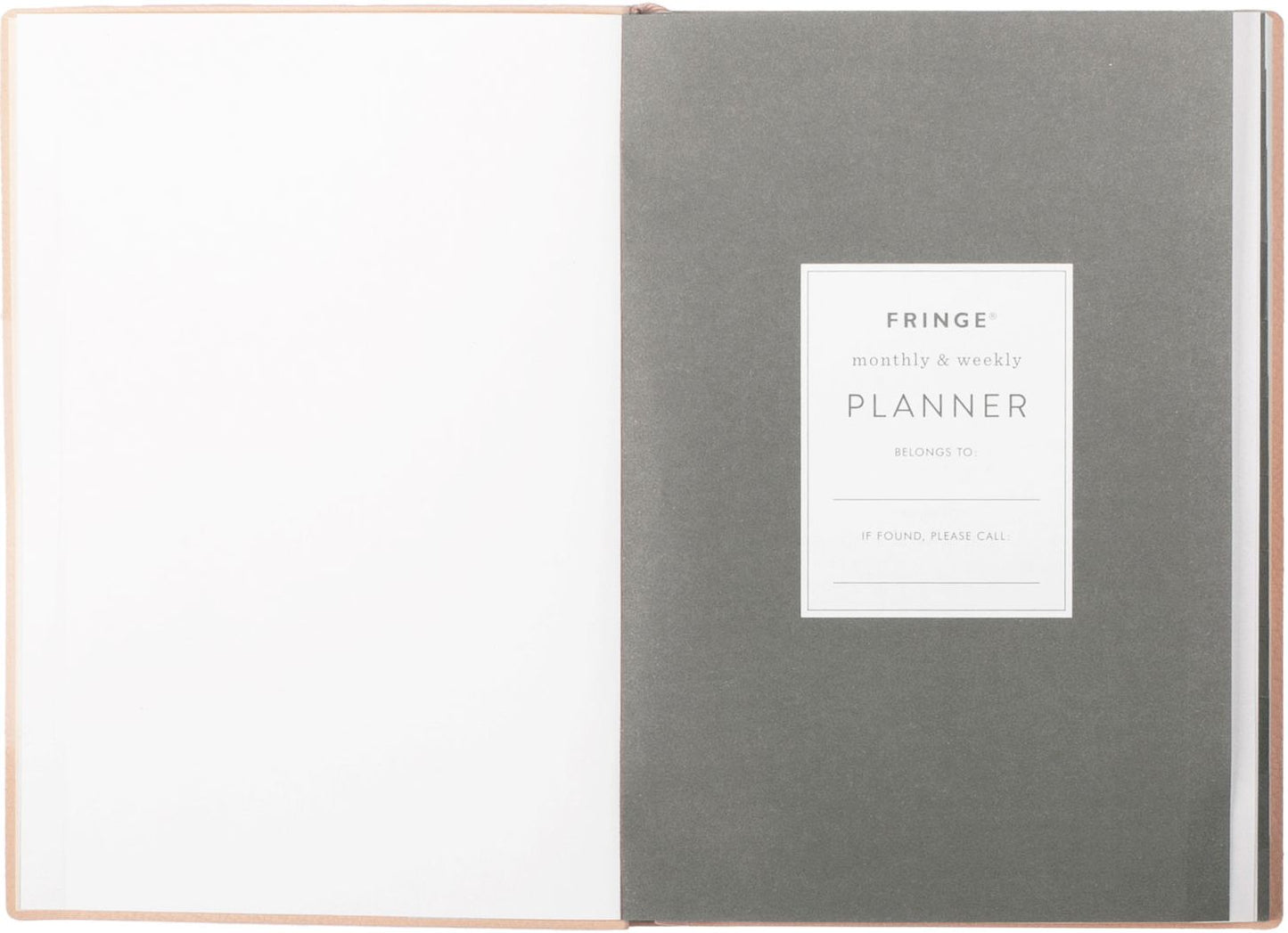 2025 Fringe Esp So Dotty 12 Month Weekly Pocket Planner
