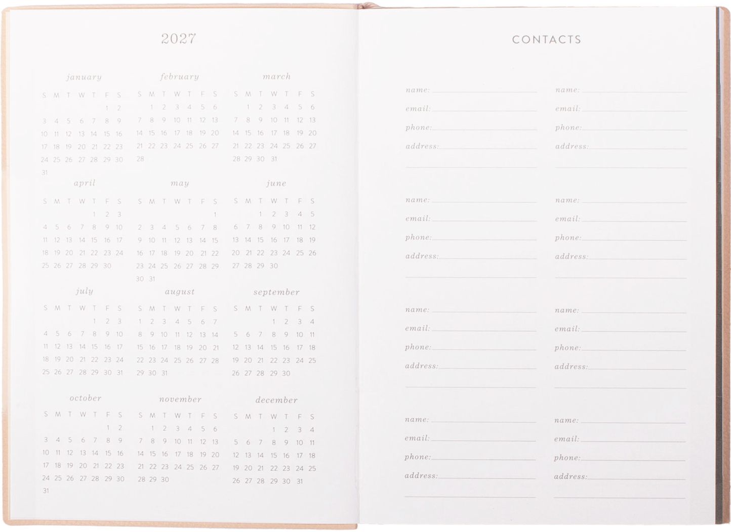 2025 Fringe Esp So Dotty 12 Month Weekly Pocket Planner