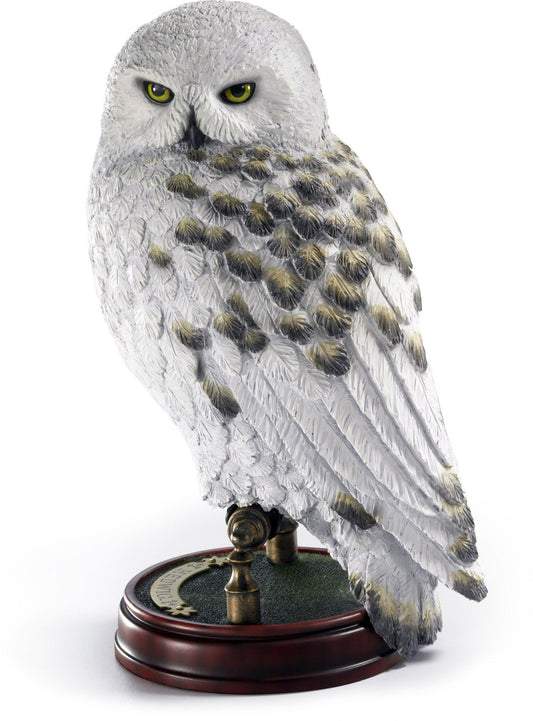Hedwig