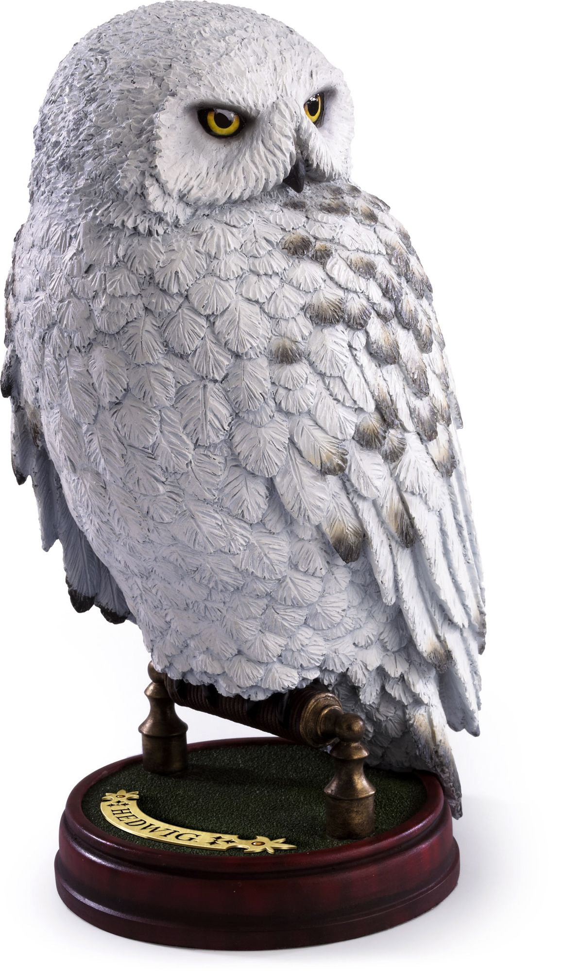 Hedwig