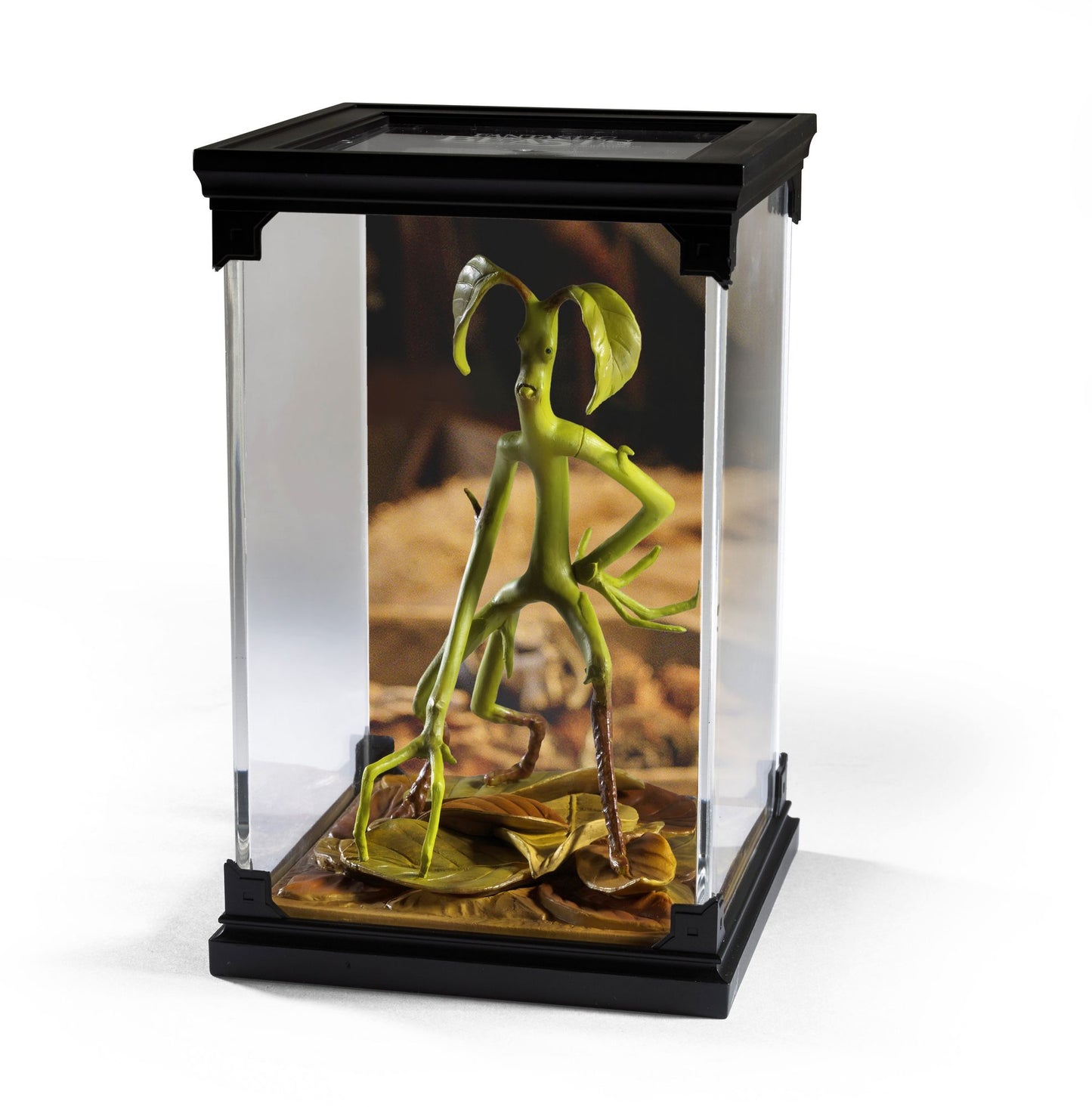 Bowtruckle Magical Creature #2