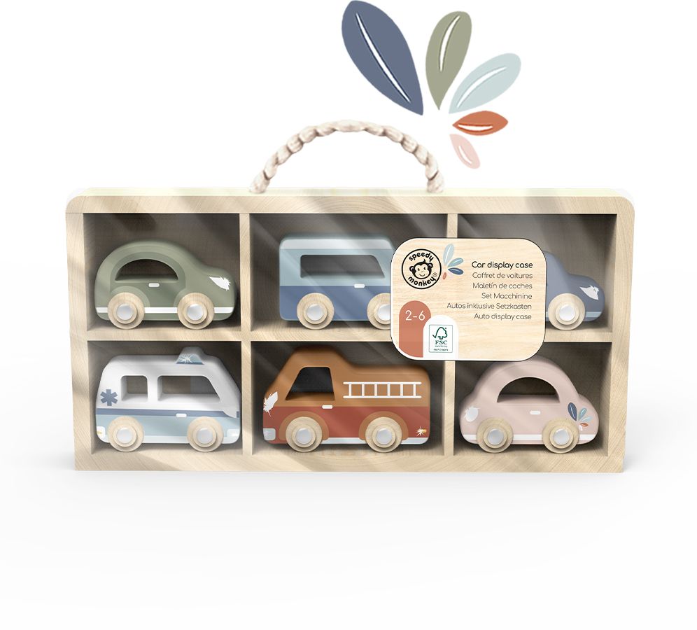 Toy Car Display Case w/6 cars
