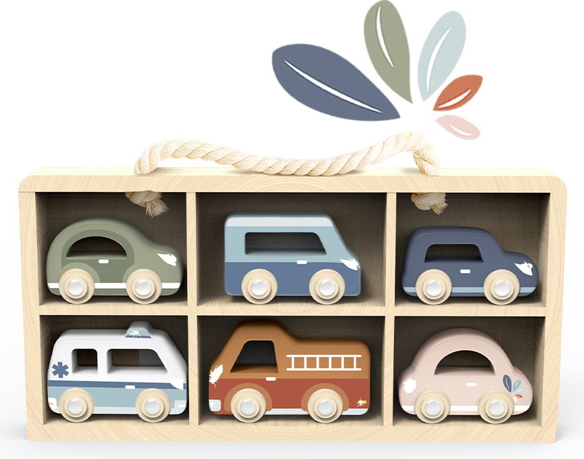 Toy Car Display Case w/6 cars