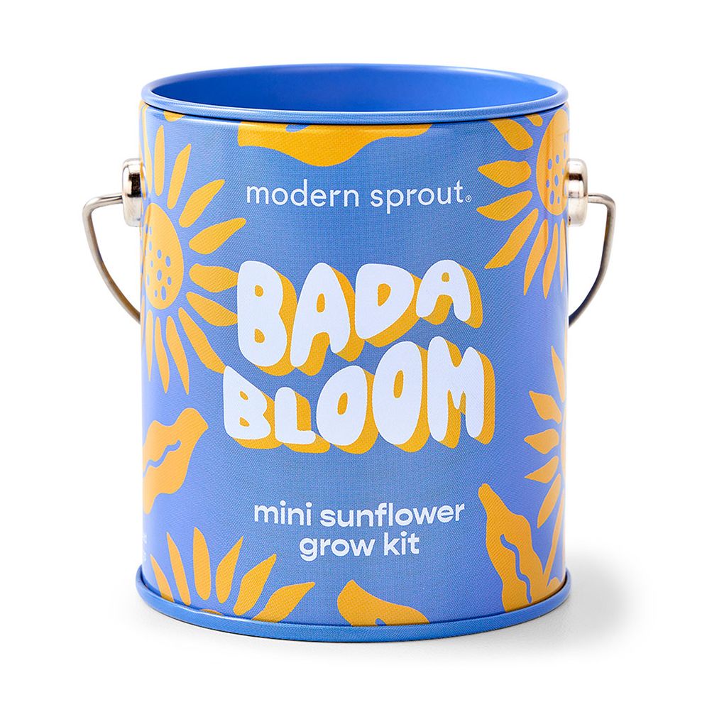 Bada Bloom Dwarf Sunflower Grow Kit