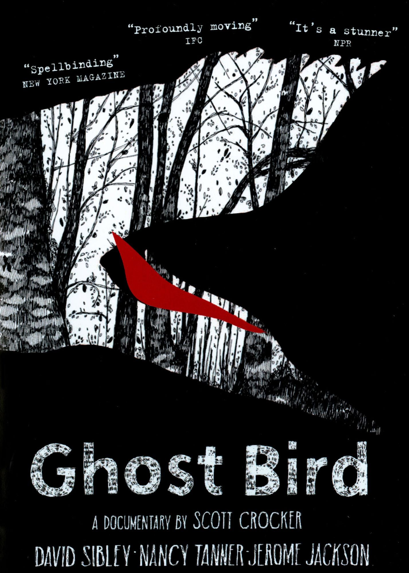 Ghost Bird