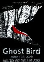 Ghost Bird