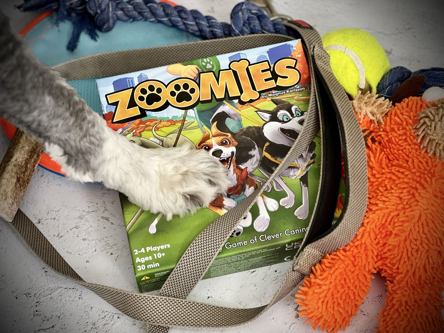 Zoomies by Magnus Karlsson