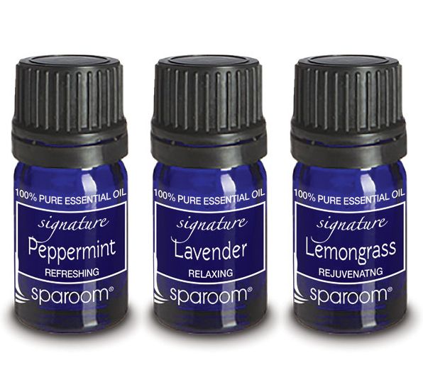 Everyday Aromatherapy Sensory Set of 3 Oils (Peppermint, Lavender, and Lemongrass)