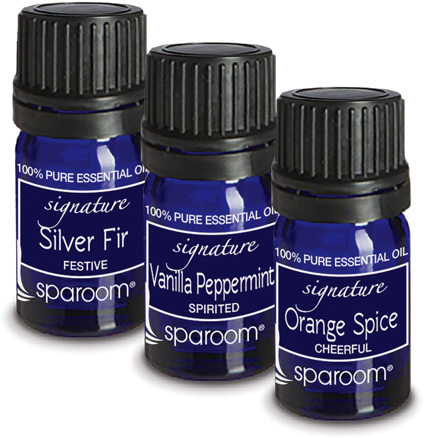 Seasonal Aromatherapy Sensory Set of 3 Oils (Silver Fir, Cinnamon, and Spiced Tea)