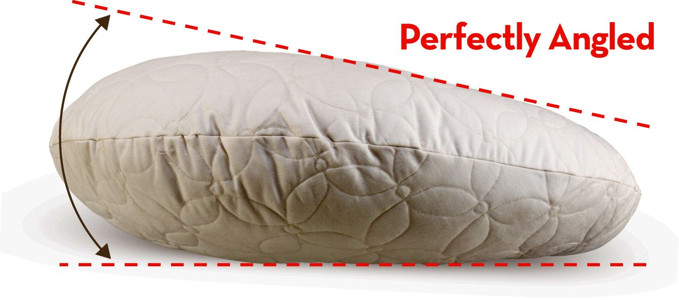 Dr. Browns Gia Nursing Pillow