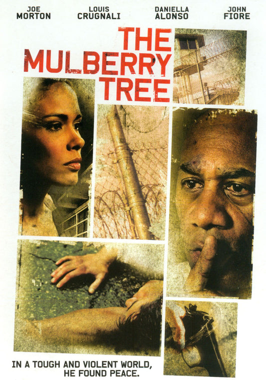 The Mulberry Tree