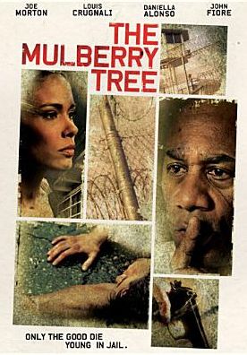 The Mulberry Tree