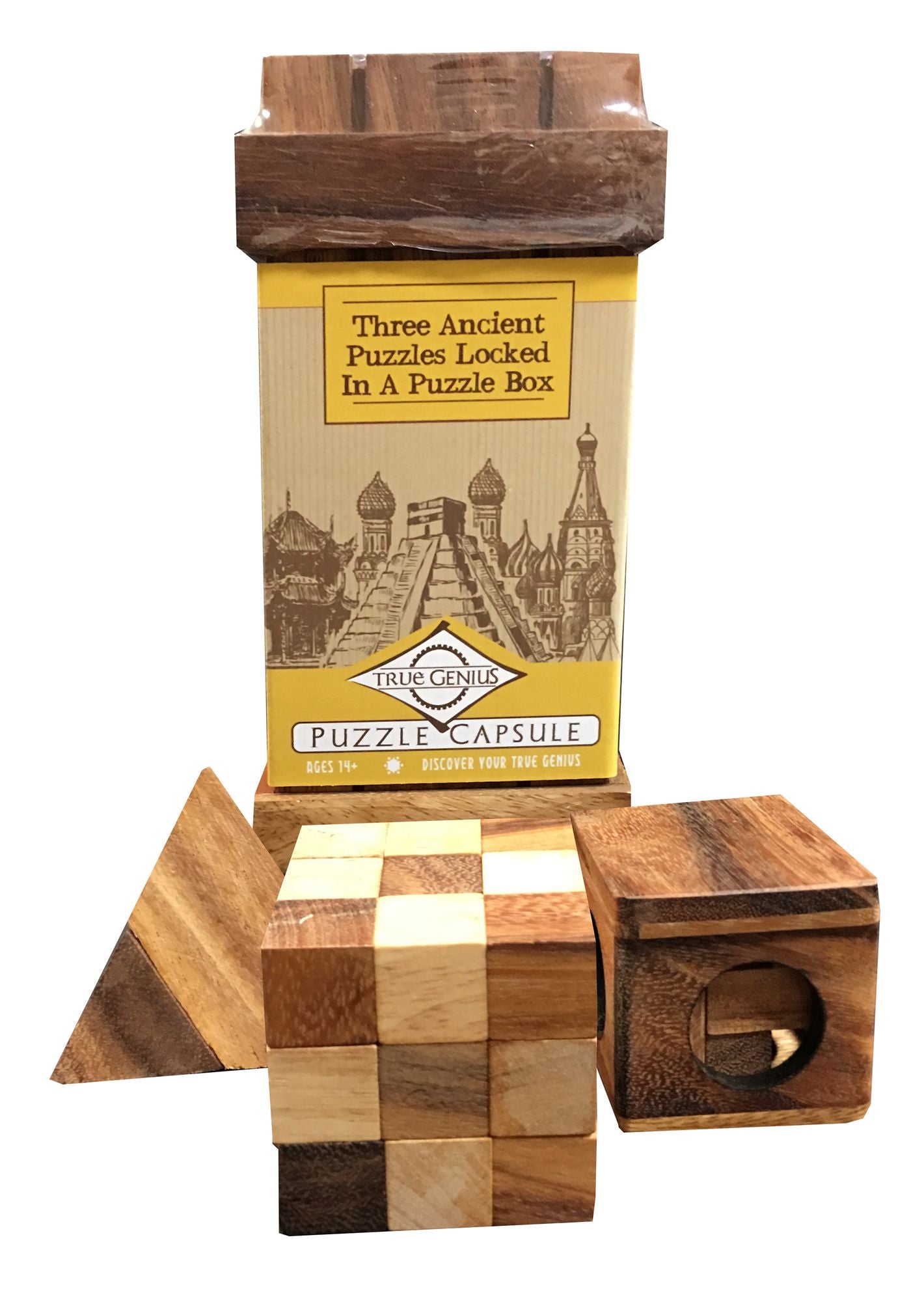 True Genius Puzzle Capsule