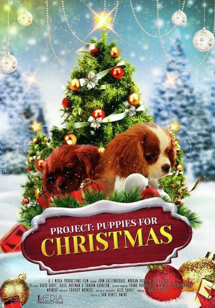 Project: Puppies for Christmas