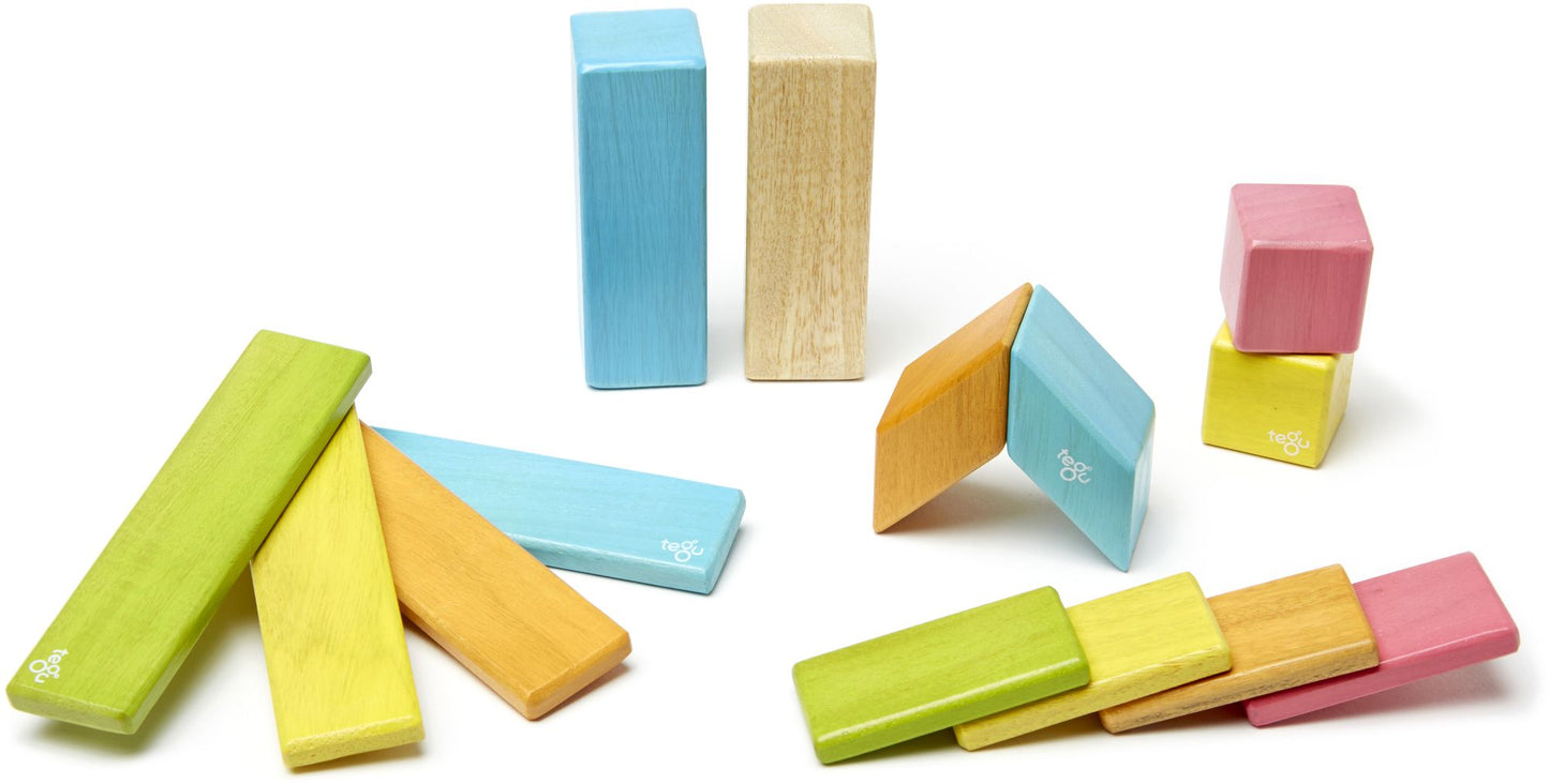 14 Piece Tegu Magnetic Wooden Block Set, Tints