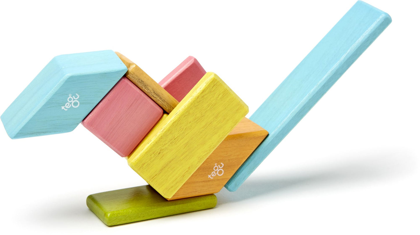 14 Piece Tegu Magnetic Wooden Block Set, Tints