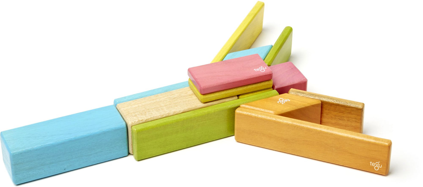 14 Piece Tegu Magnetic Wooden Block Set, Tints