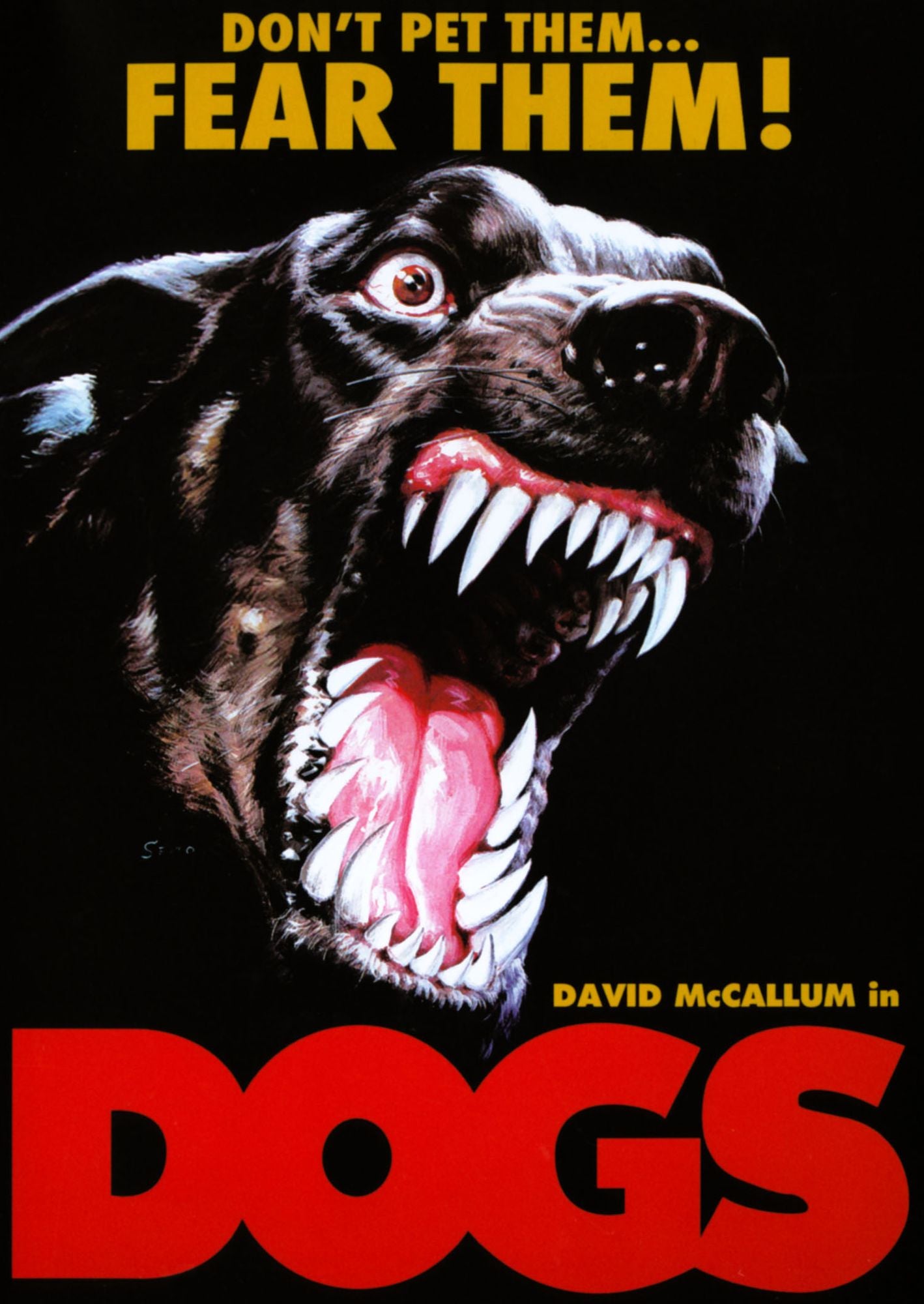 DOGS