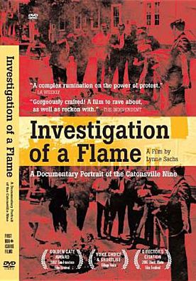 Investigation of a Flame