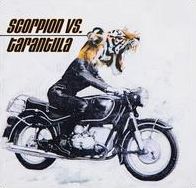 Scorpion Vs. Tarantula