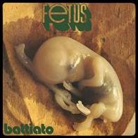 Fetus