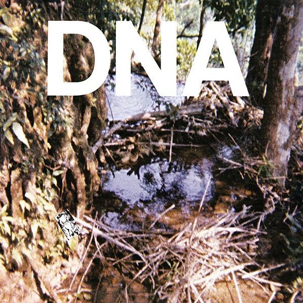 A Taste Of Dna
