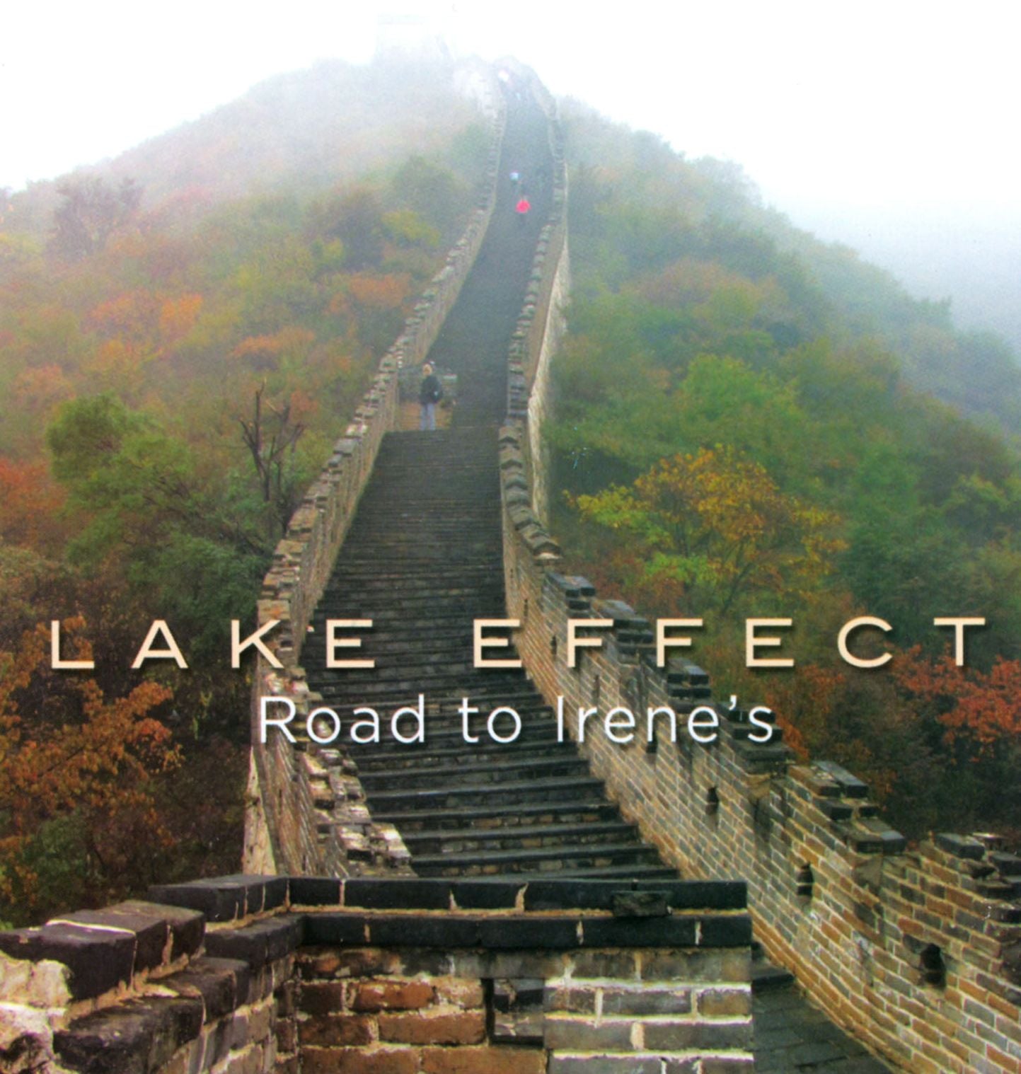 Road to Irene's