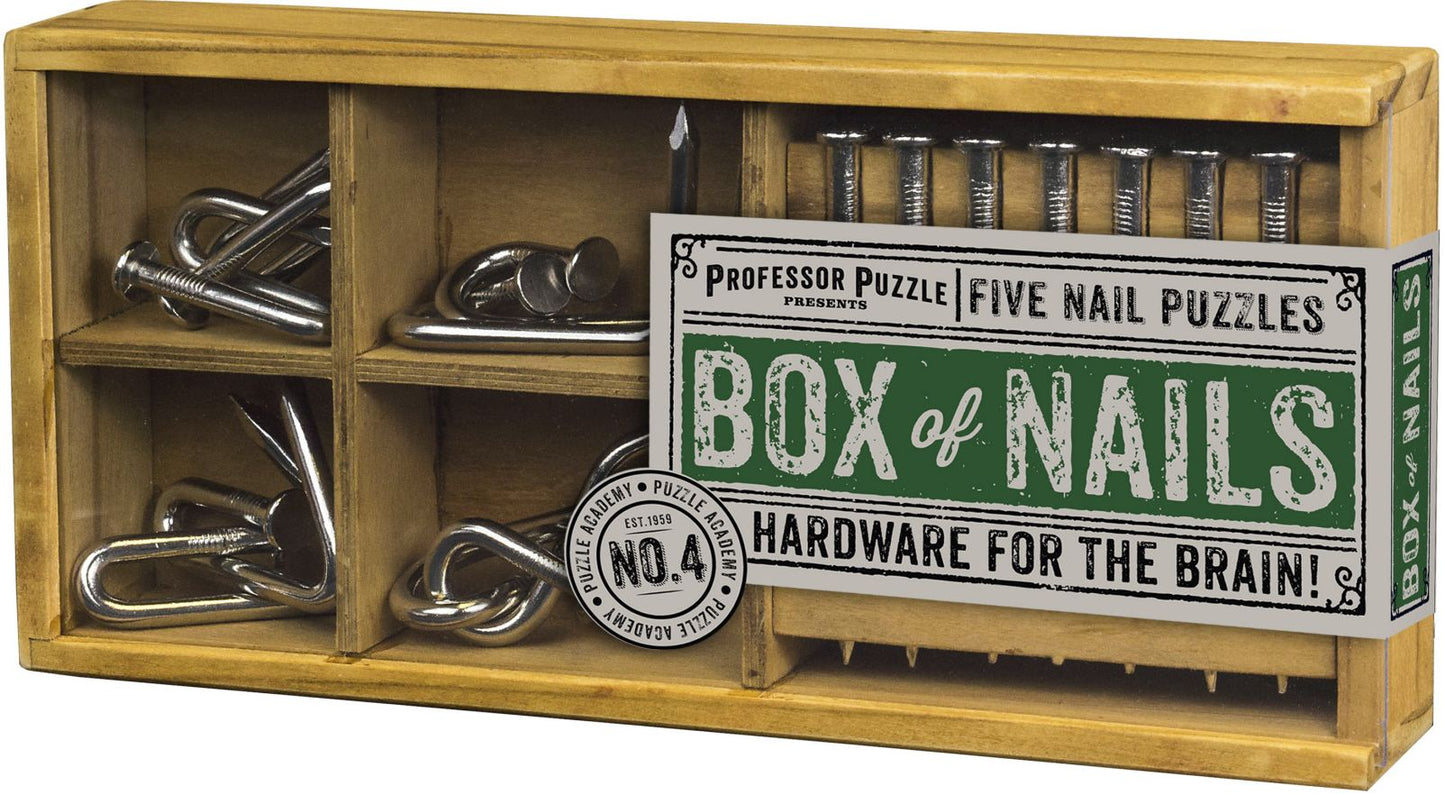 Puzzle Academy - Box of Nails