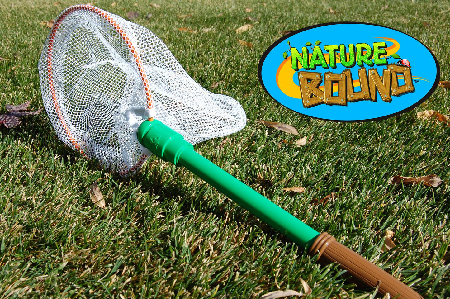 Bug Net