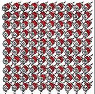 100 Flowers