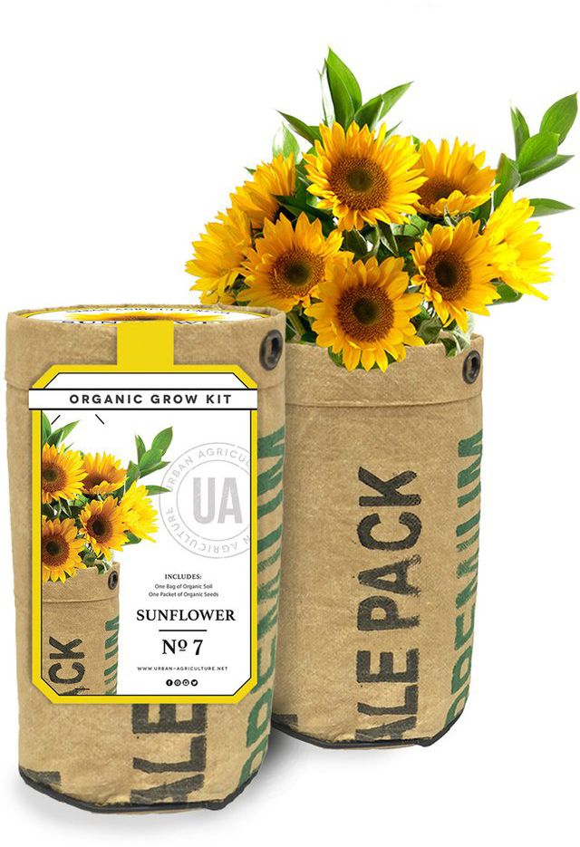 Organic Sunflower Grow Kit