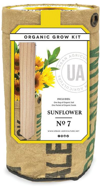 Organic Sunflower Grow Kit