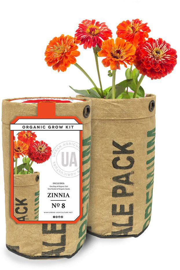 Organic Zinnia Grow Kit