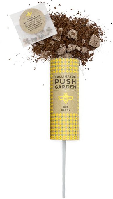 Pollinator Push Garden - Bee