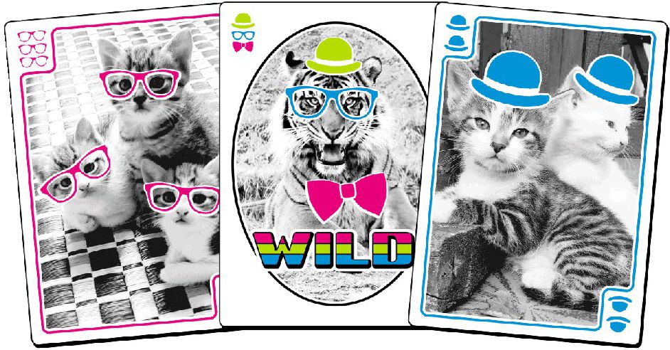You Gotta Be Kitten Me