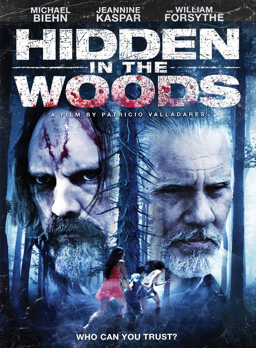 Hidden In The Woods