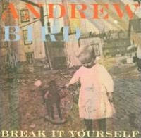 Break It Yourself