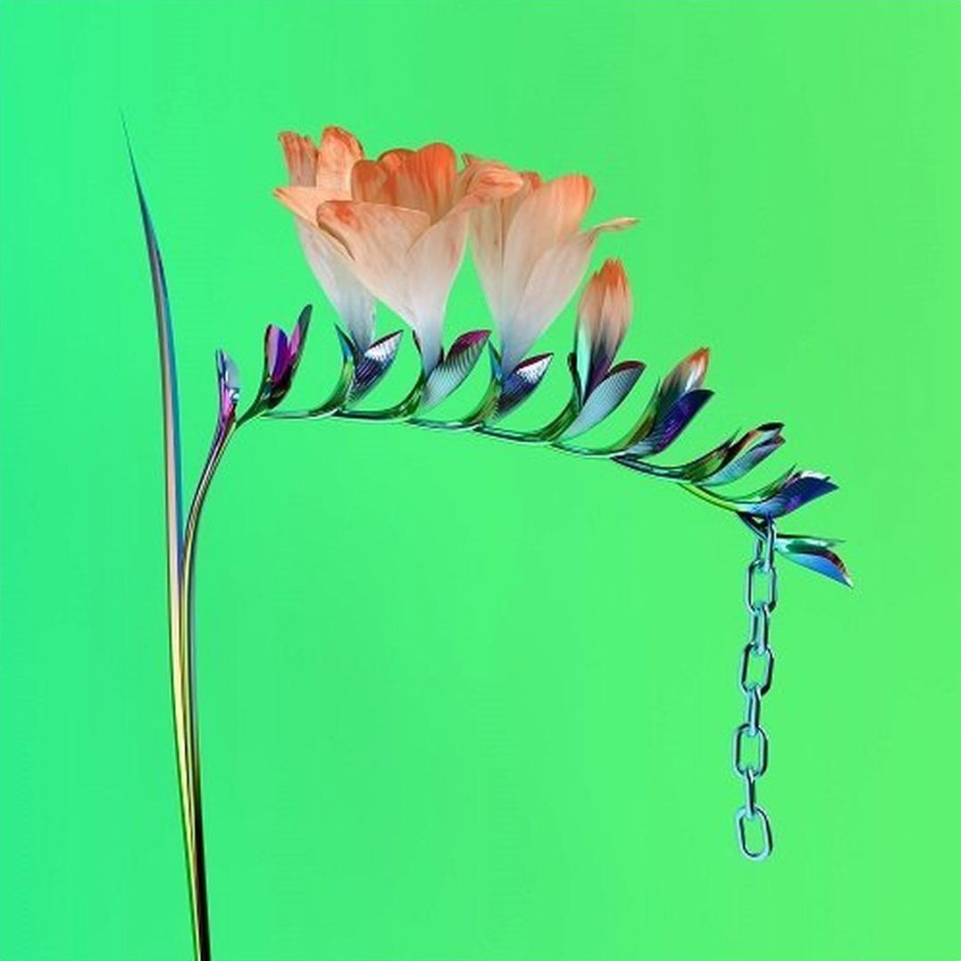 Skin Companion Ep, Vol. 1