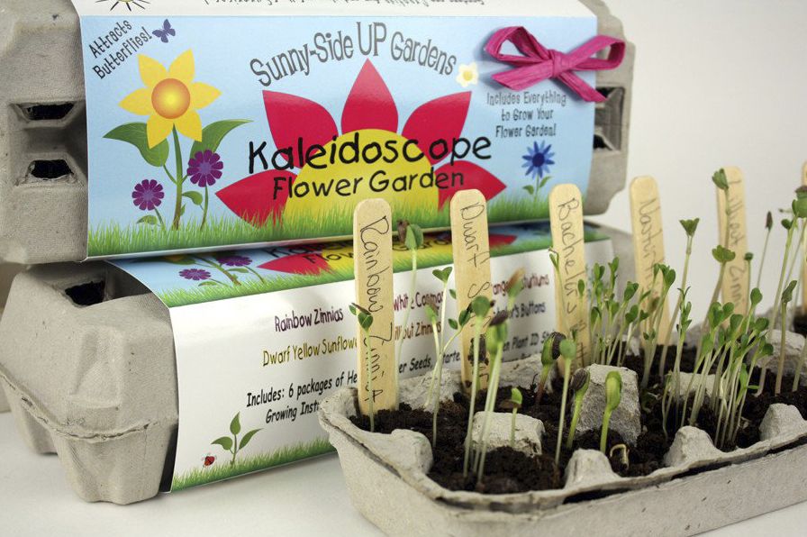 Sunny Side Up Flower Garden Eggcrate