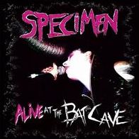 Alive at the Batcave