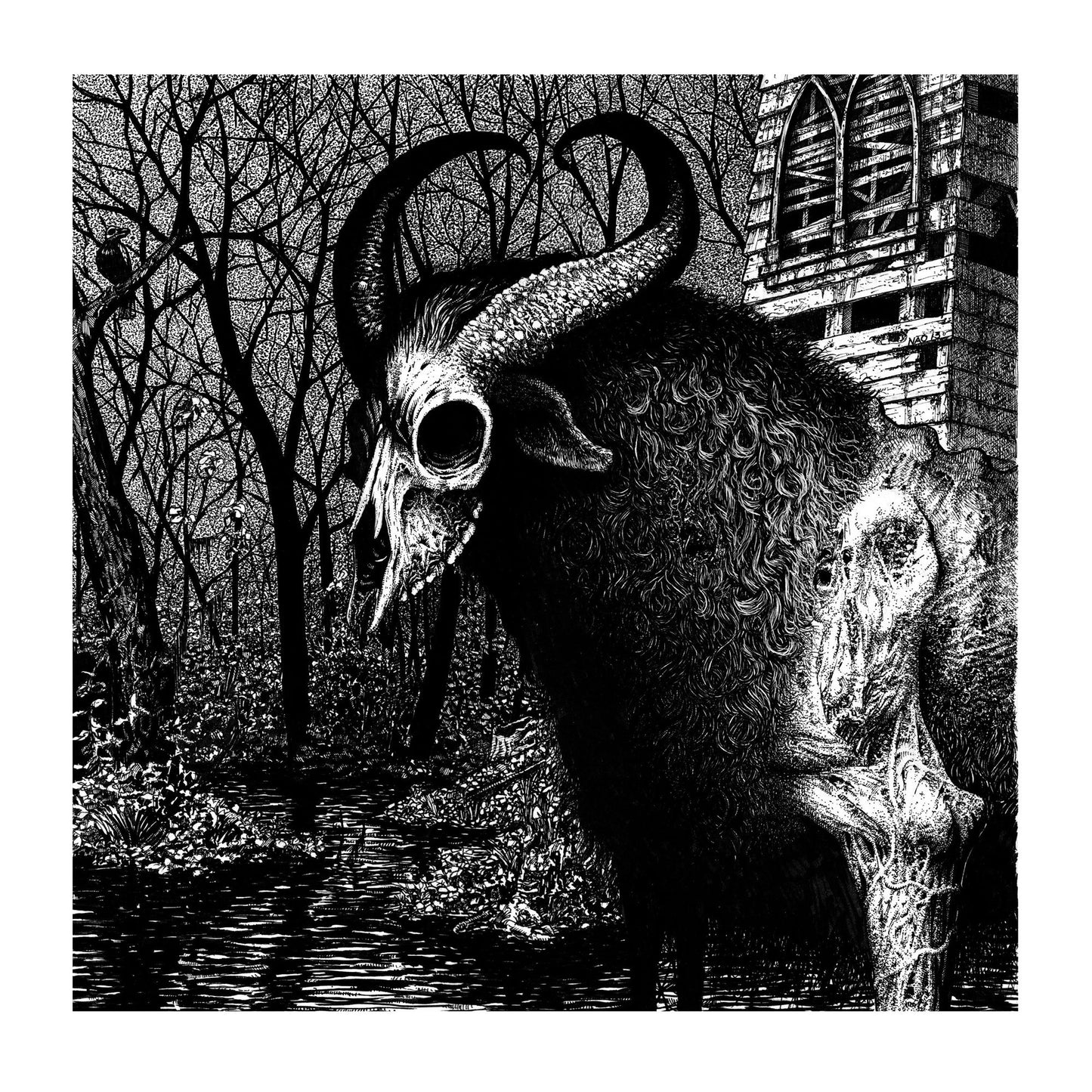 The Legend Of The Swamp Goat